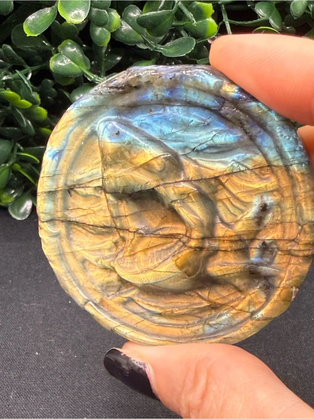 Full Flash Labradorite Shark Medallion